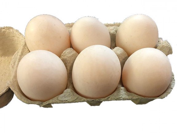 6 x Duck Eggs