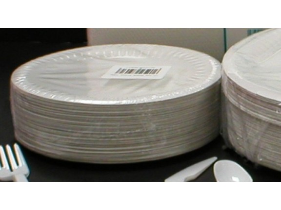 Paper Plates - 100 pack (23cm)